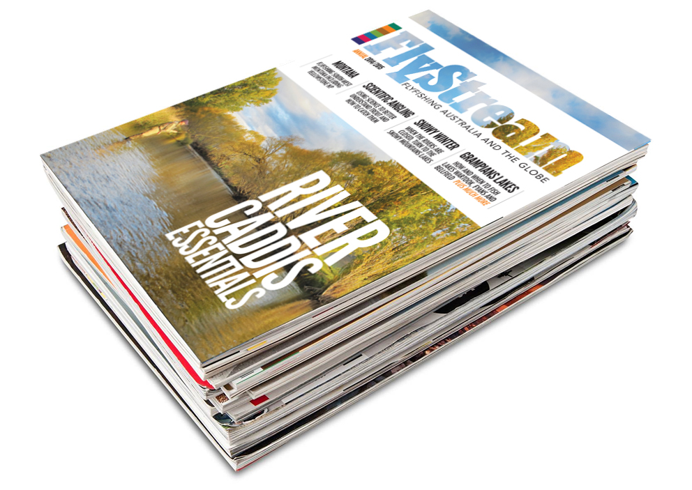FlyStream Annual 2014/15 - Review