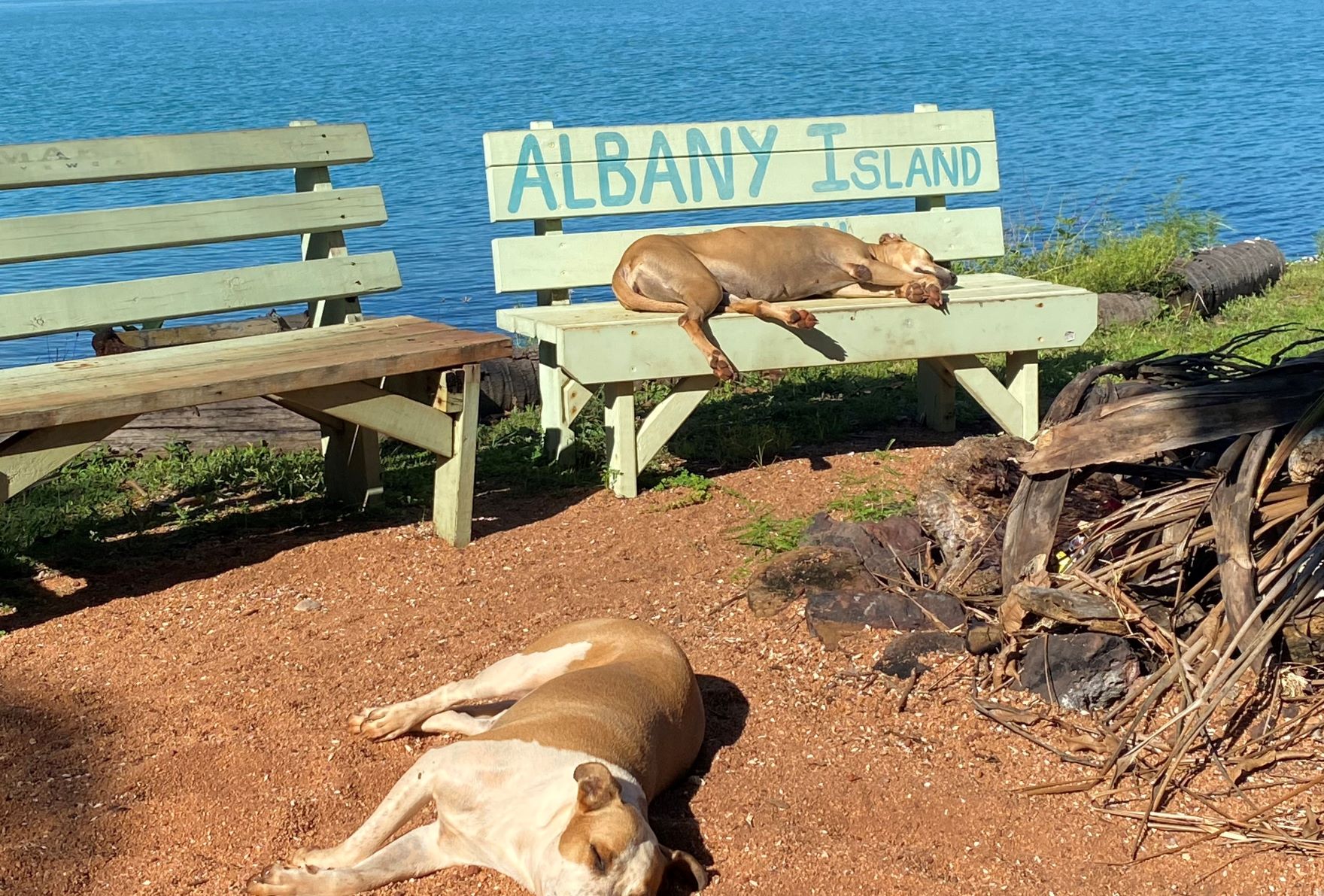 The Flyfisher's Podcast - Albany Island Adventure (Cape York)