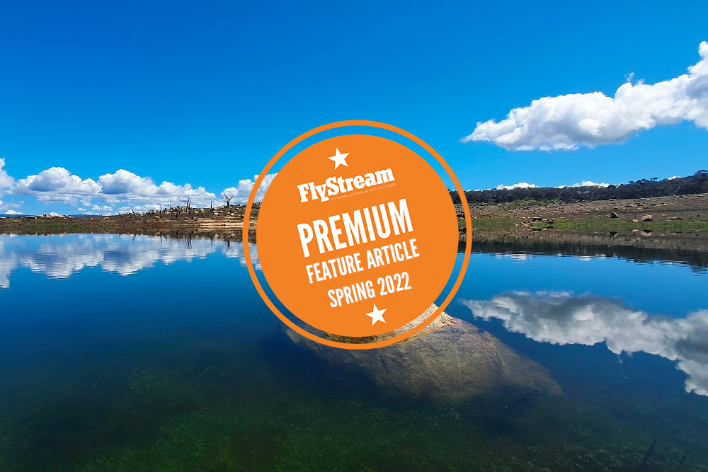 Eucumbene’s Frying Pan Arm