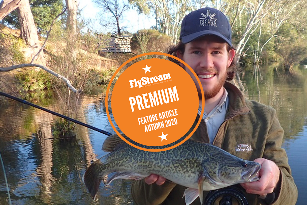 Goulburn Cod on Fly