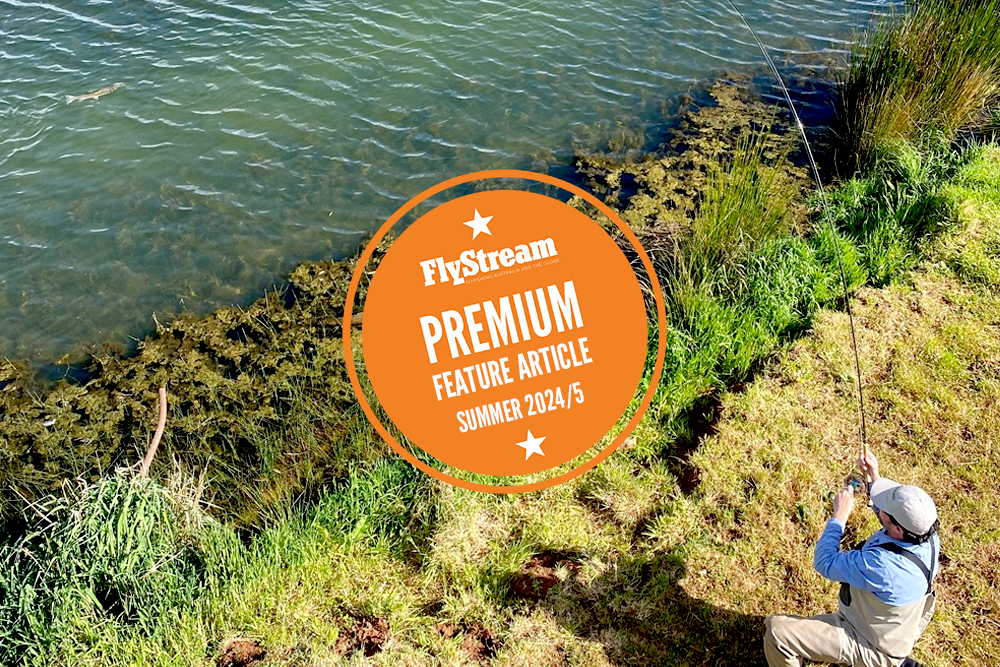 Sight fishing trout in lakes