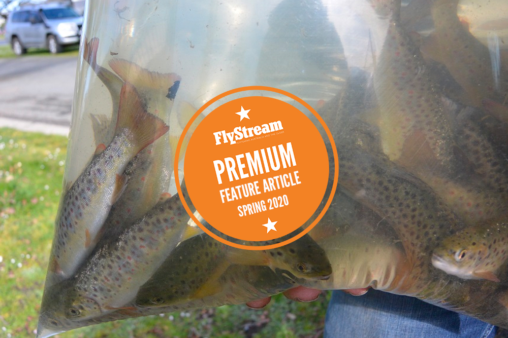 Getting the most from trout stocking – Part 1