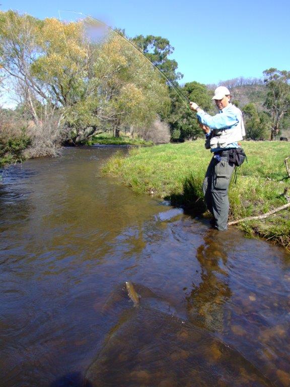 Wild Trout Streams and Artificial Stocking