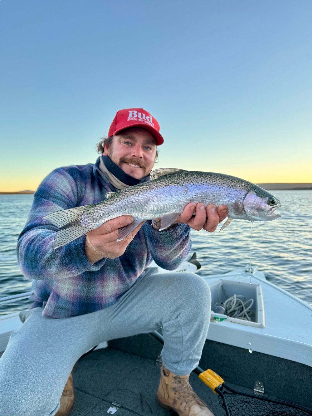 Lake midge: a small insect with a big impact