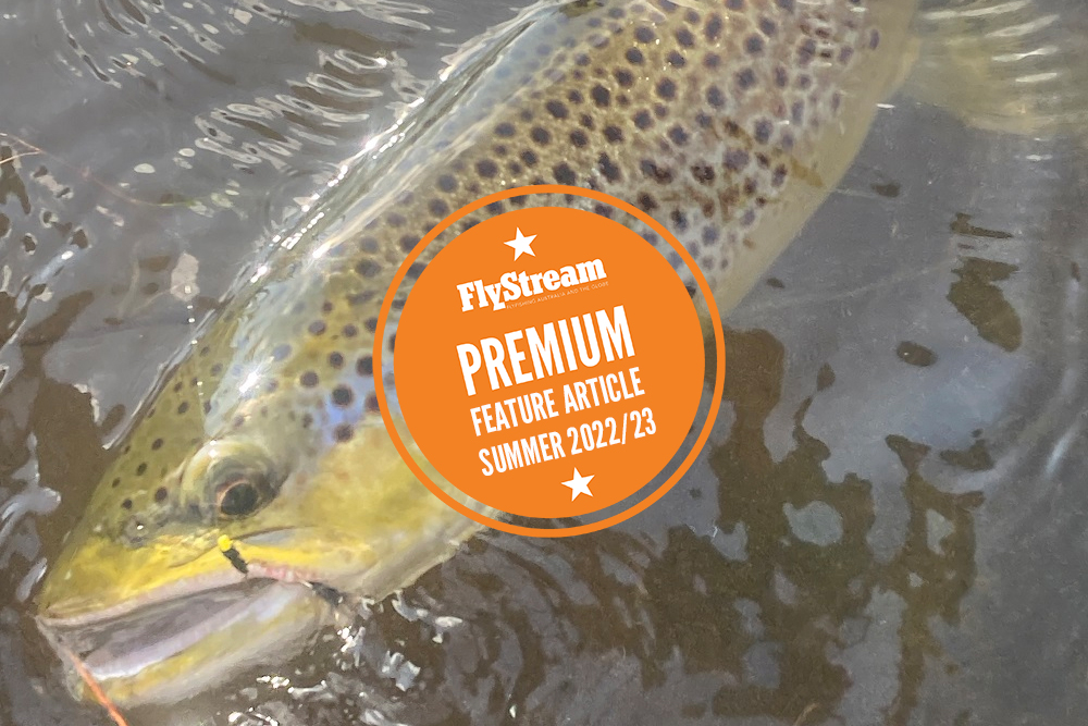 Trout Fly Choice - Part Two