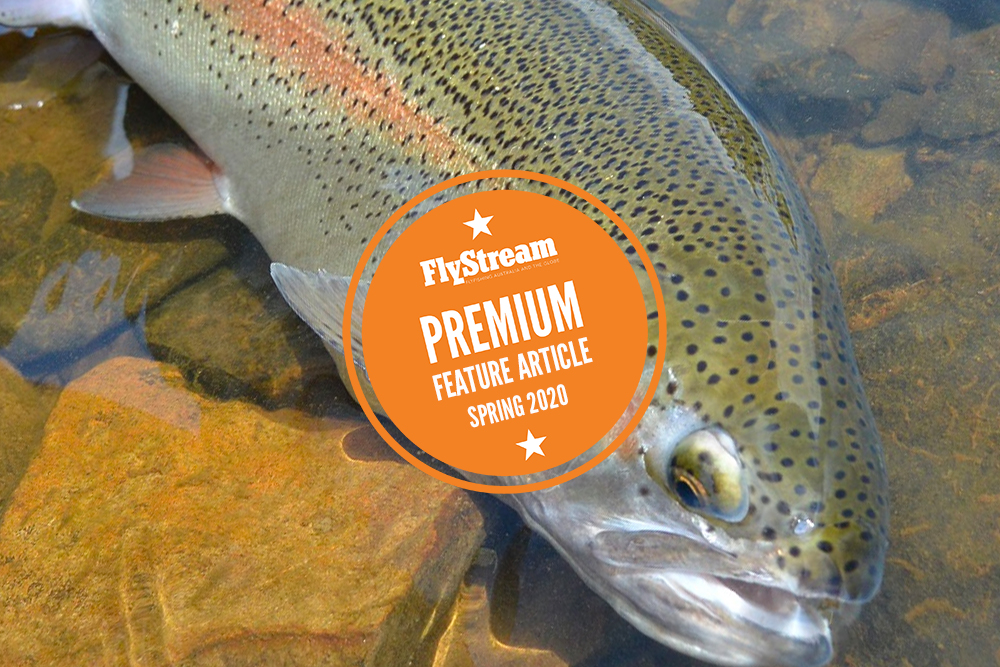 Getting the most from trout stocking – Part 2