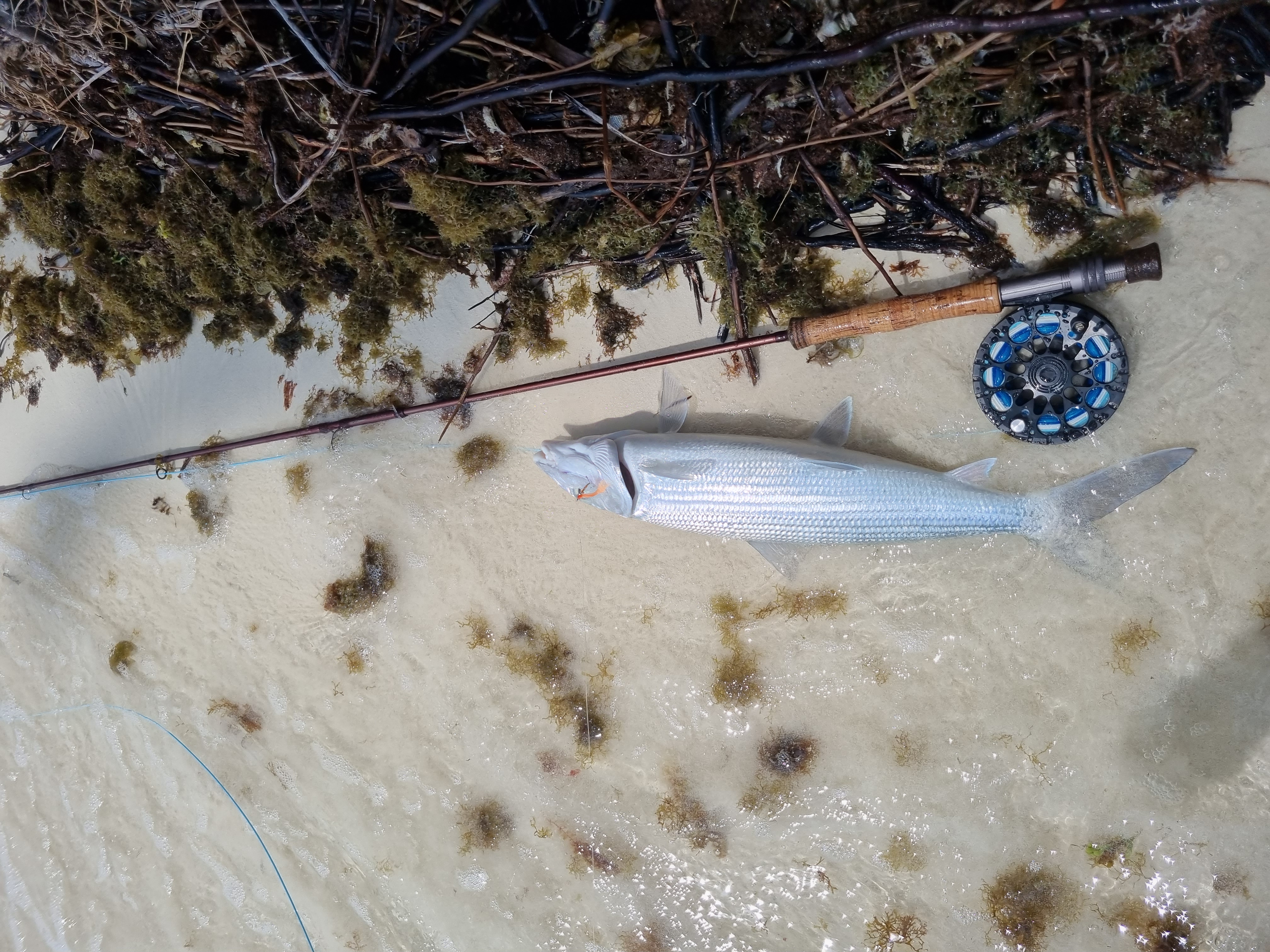 DIY Bonefishing in Cocos Keeling Islands