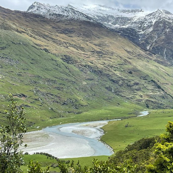 Fly Fishing the South Island of New Zealand: A Comprehensive DIY Guide