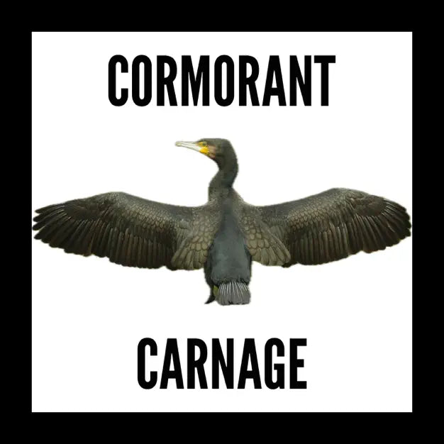 The Flyfisher's Podcast - Cormorant Carnage with Philip Weigall