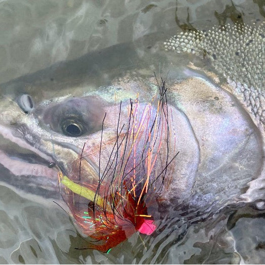 Spey Fishing Made Easy : A Beginner’s Guide to Flyfishing Spey