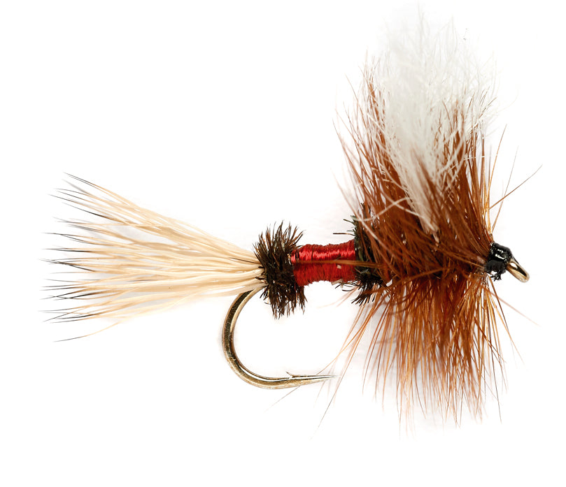 Dry Flies for Trout Fishing