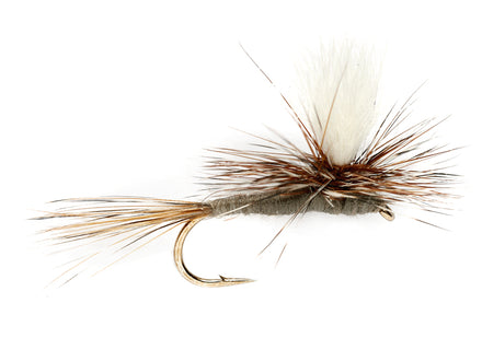 Fulling Mill The Flyfisher