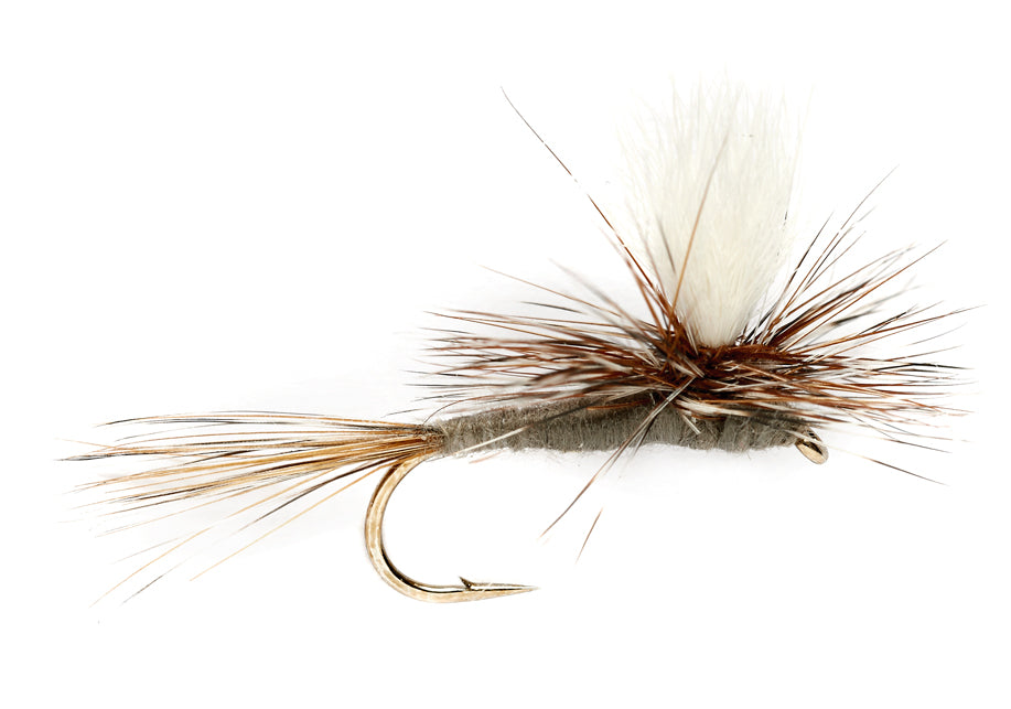 Fulling Mill The Flyfisher
