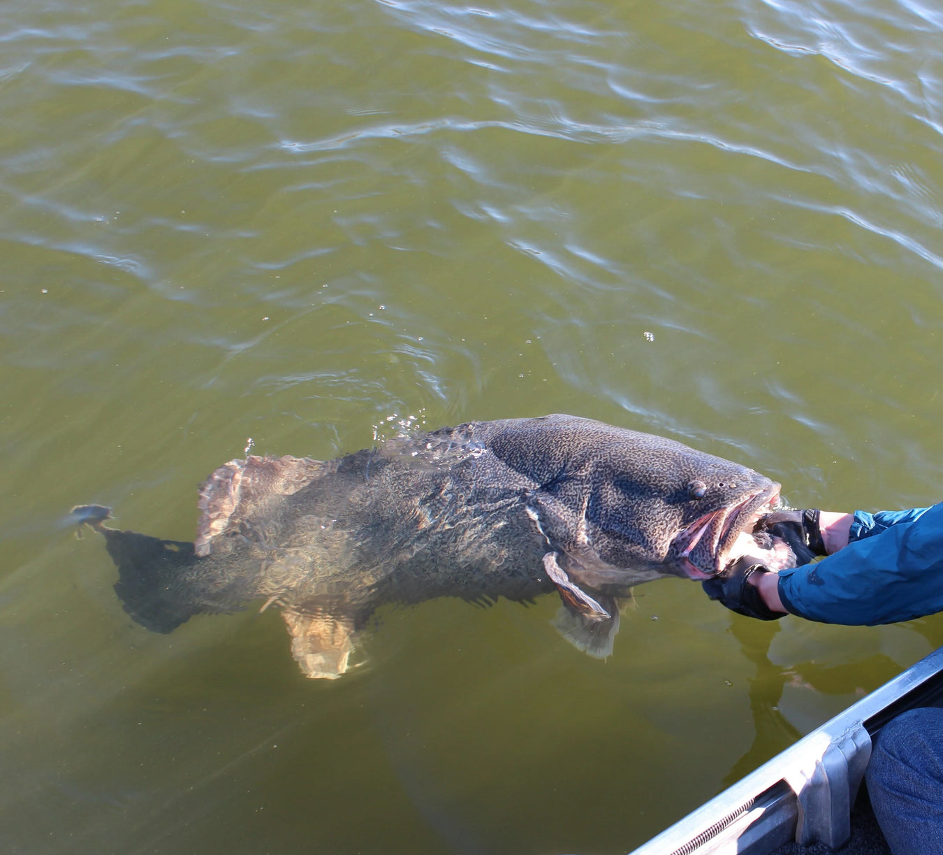 Fly Jigs for Murray Cod and Barramundi | Tying Materials and Components