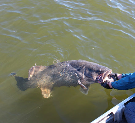 Fly Jigs for Murray Cod and Barramundi | Tying Materials and Components
