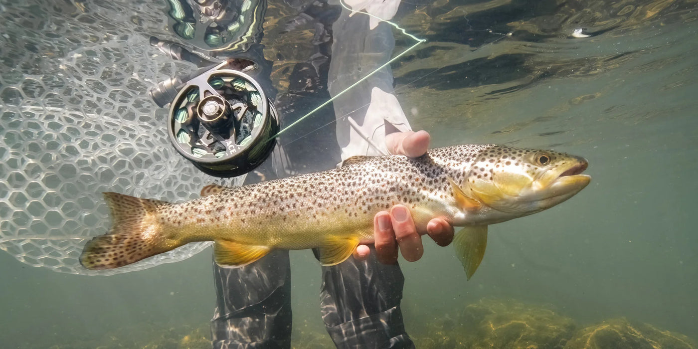 Redington Ace Fly Reels