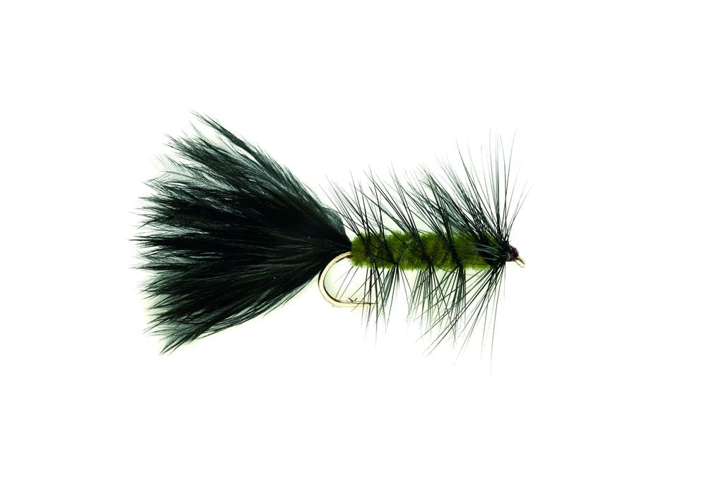 Woolly Bugger olive noir