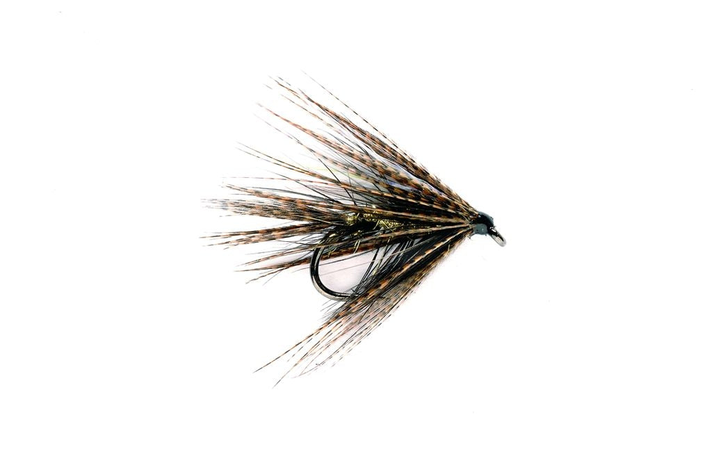 Dabbler Black & Gold