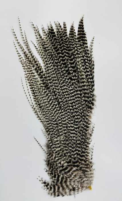 Ewing Super Woolly Bugger Pack