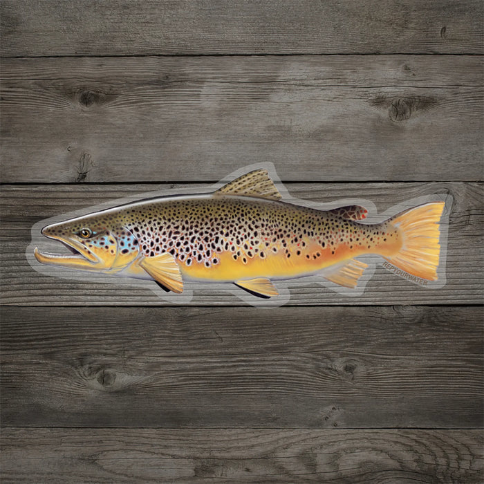 RepYourWater Brown Trout Sticker RepYourWater