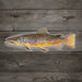 RepYourWater Brown Trout Sticker RepYourWater
