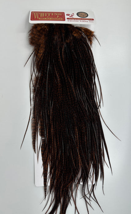 Whiting Bronze Dry Fly Saddle Grizzly dyed Coachman Brown