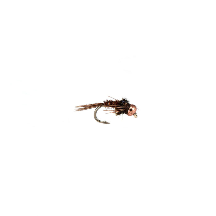 Copper Pheasant Tail Flash Back