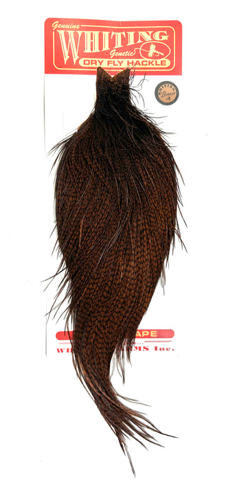 Whiting Bronze Dry Fly Cape Grizzly dyed Coachman Brown