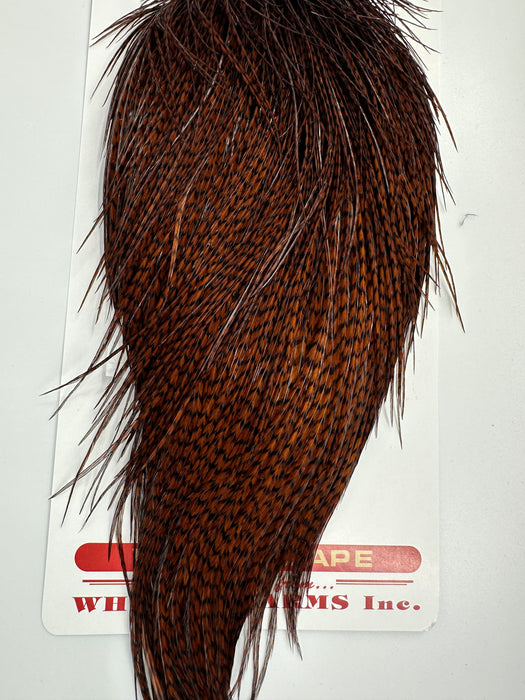 Whiting Bronze Dry Fly Cape Grizzly dyed Coachman Brown