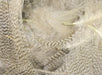Hareline Big Pack Mallard Flank Hareline Dubbin
