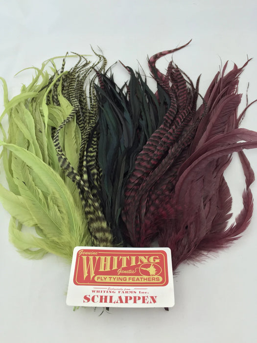 Whiting Schlappen Feathers Bundle 10"-14"