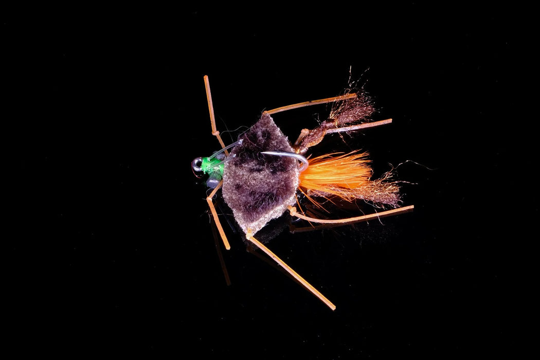 Palometa Crab Brown