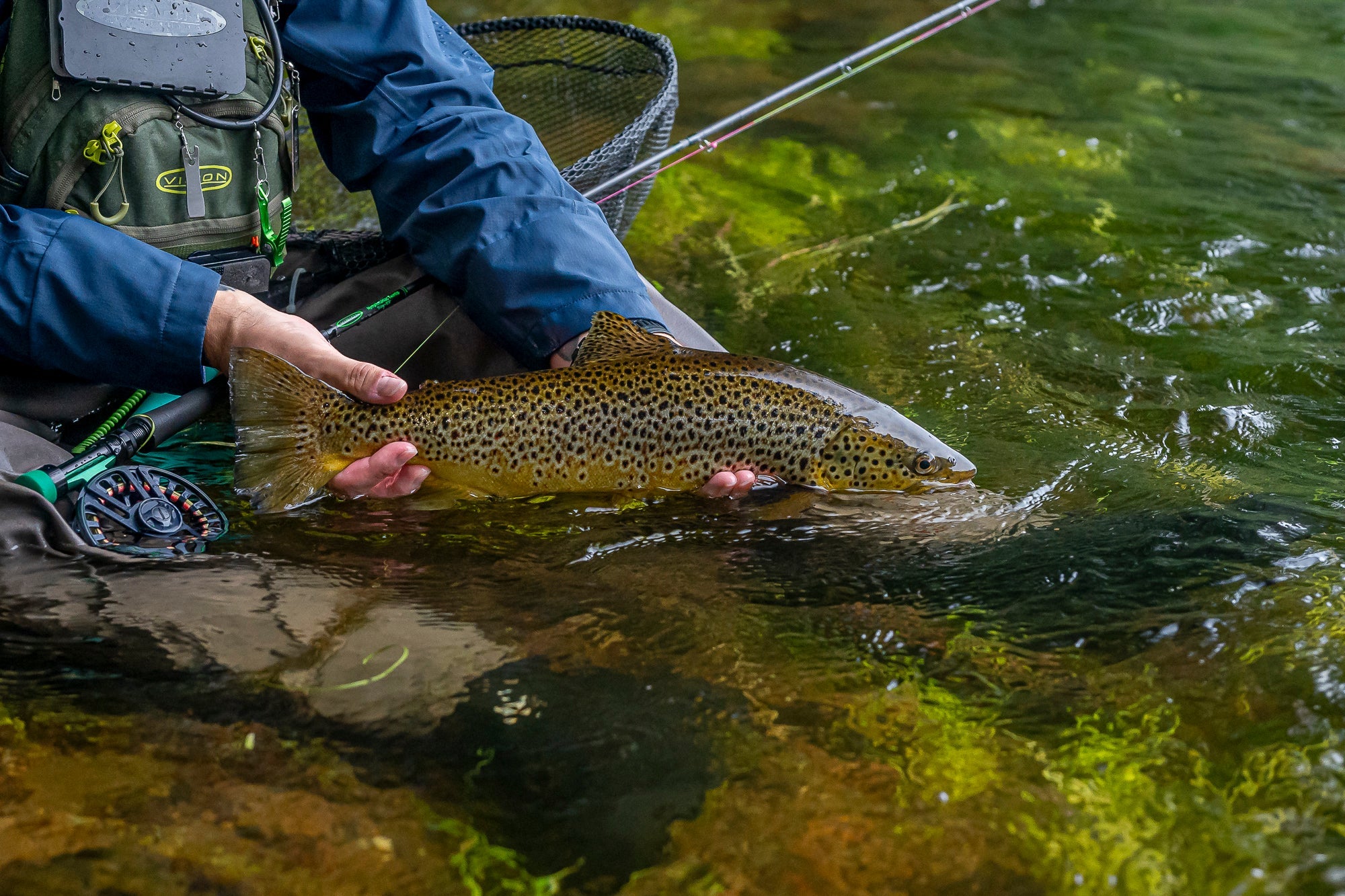 Vision Nymphmaniac Twintip Fly Rod
