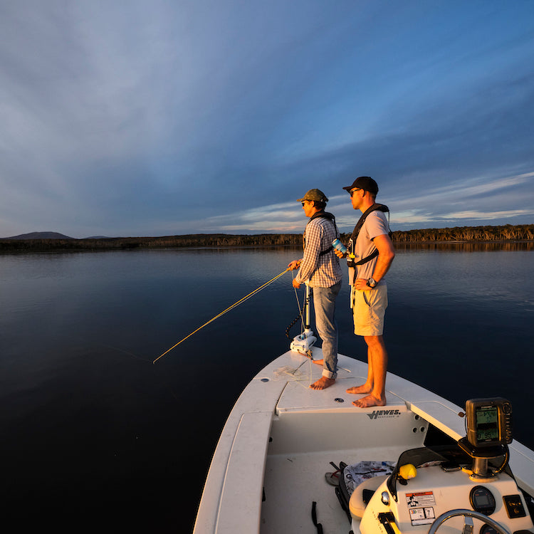 SHIMANO NATIVE SERIES MURRAY COD TEE – Fishing Online Australia