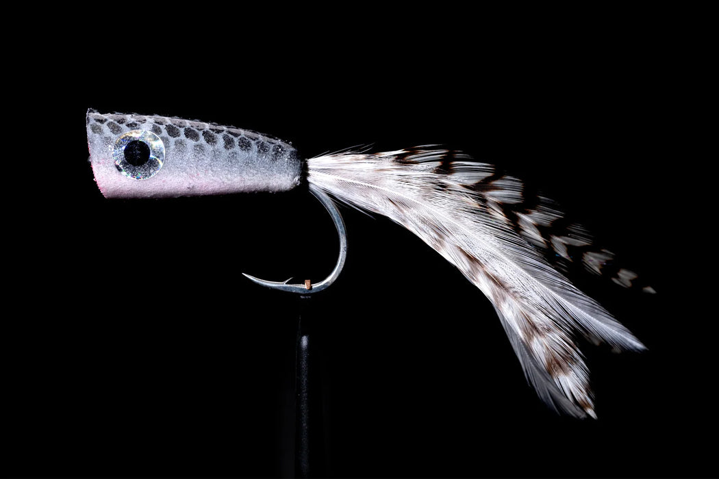 Party Popper Grey Popper Fly