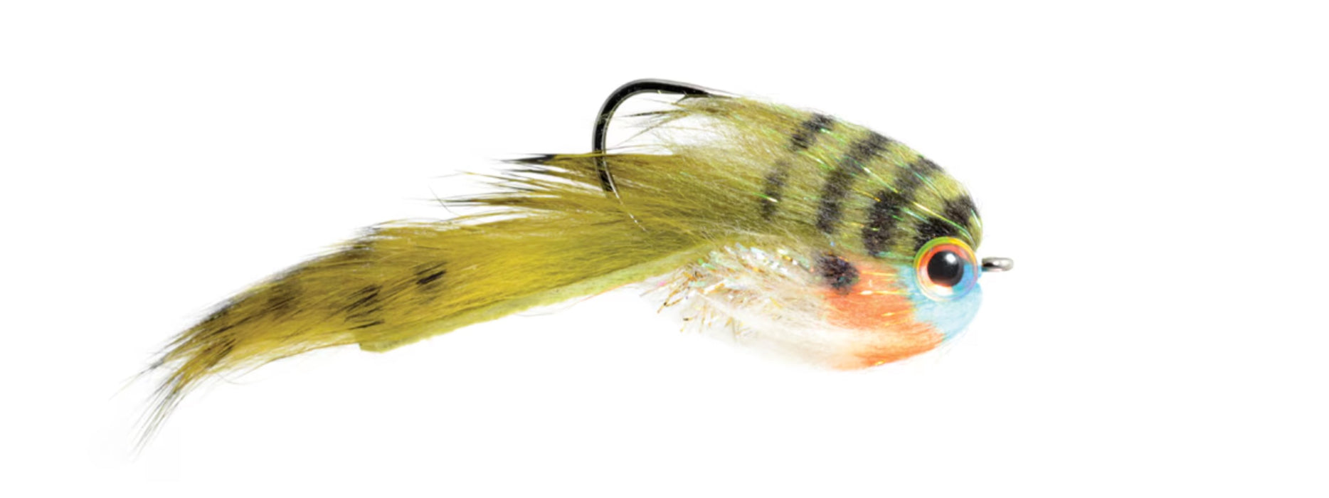 Belly Scratcher Minnow Bluegill