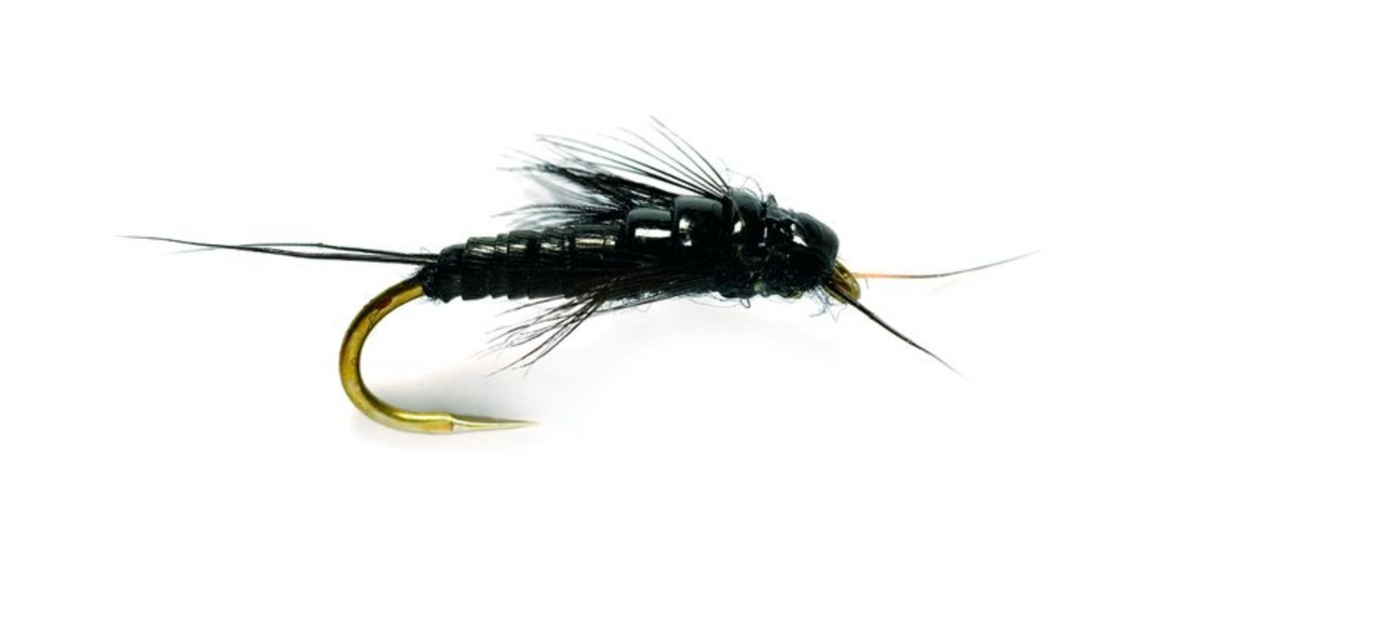 Little Black Stonefly Barbless