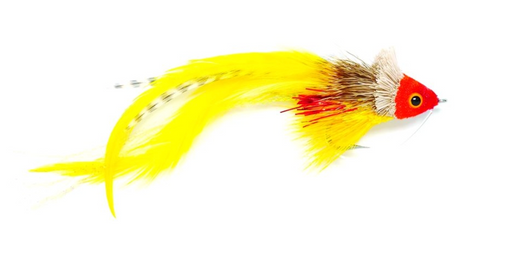 Swimming Frog Red & Yellow Fulling Mill