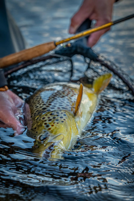 Vision Hero2 Euro Nymphing Fly Rod