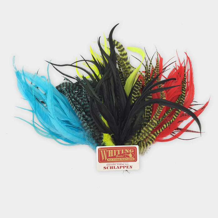 Whiting Schlappen Feathers Bundle 6"-10"
