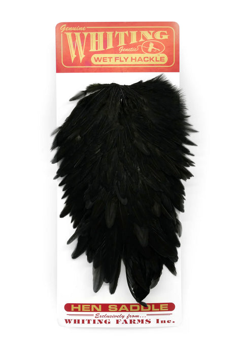 Whiting Hen Saddle Black