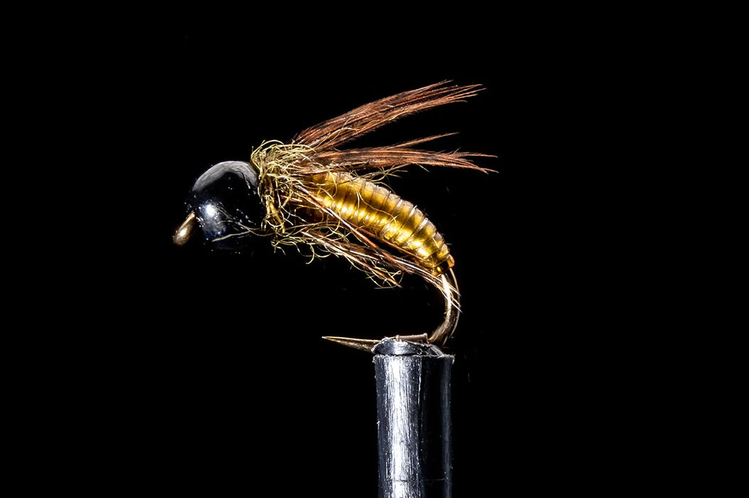 Clearwater Caddis - Green