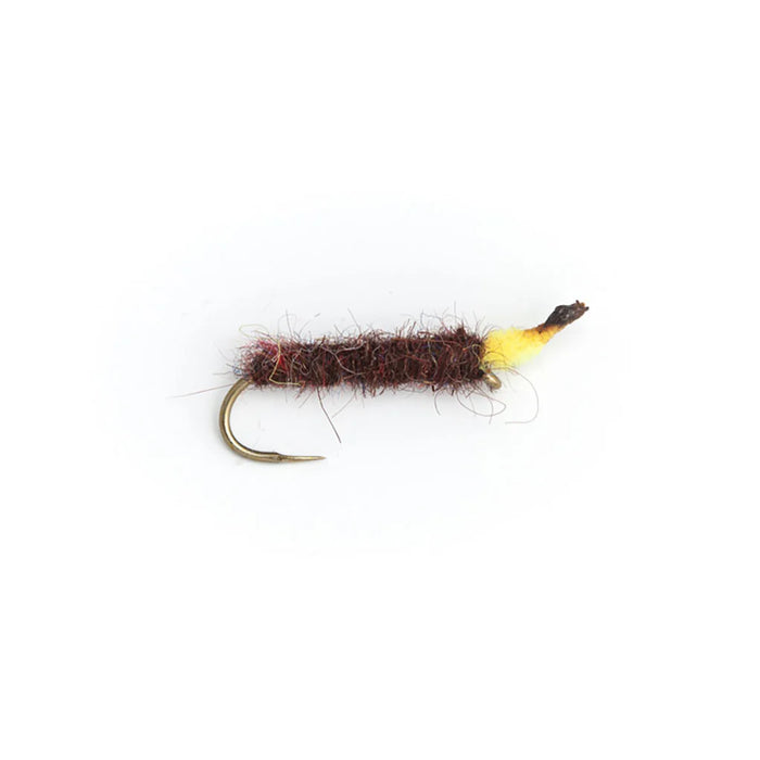 Bassano Blind Caddis