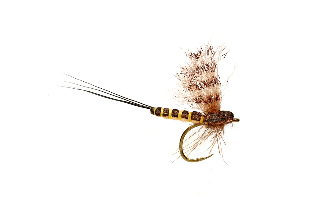 Mohican March Brown B/L