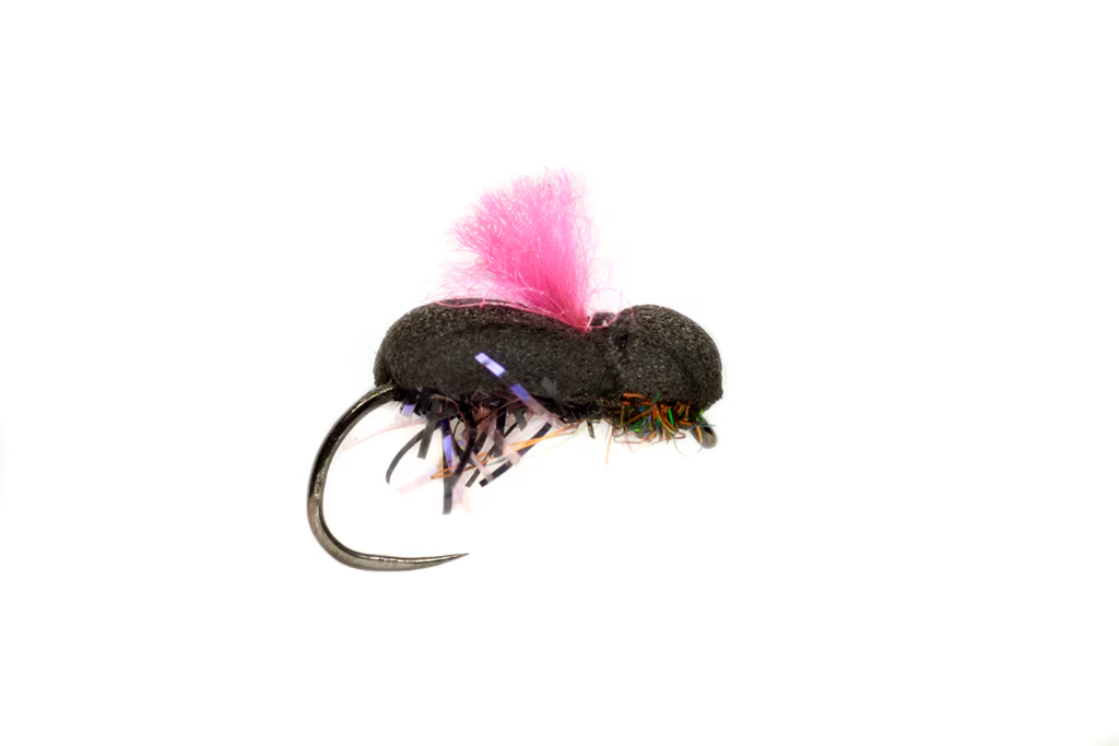 Procter Target Beetle Pink Barbless