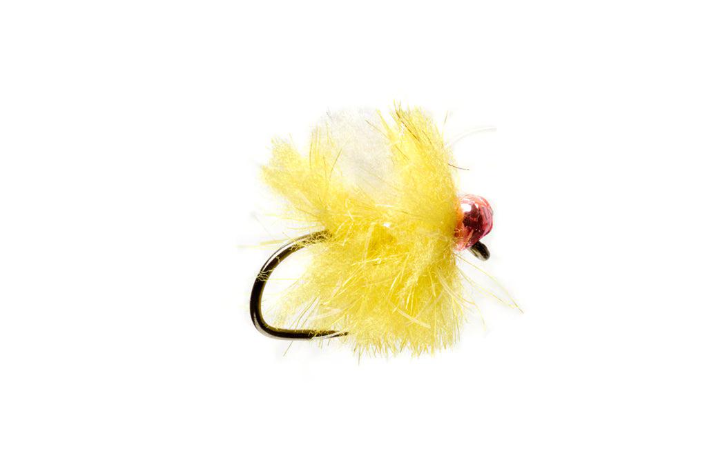 Fire Spot Egg Sunburst Manic Tackle Project