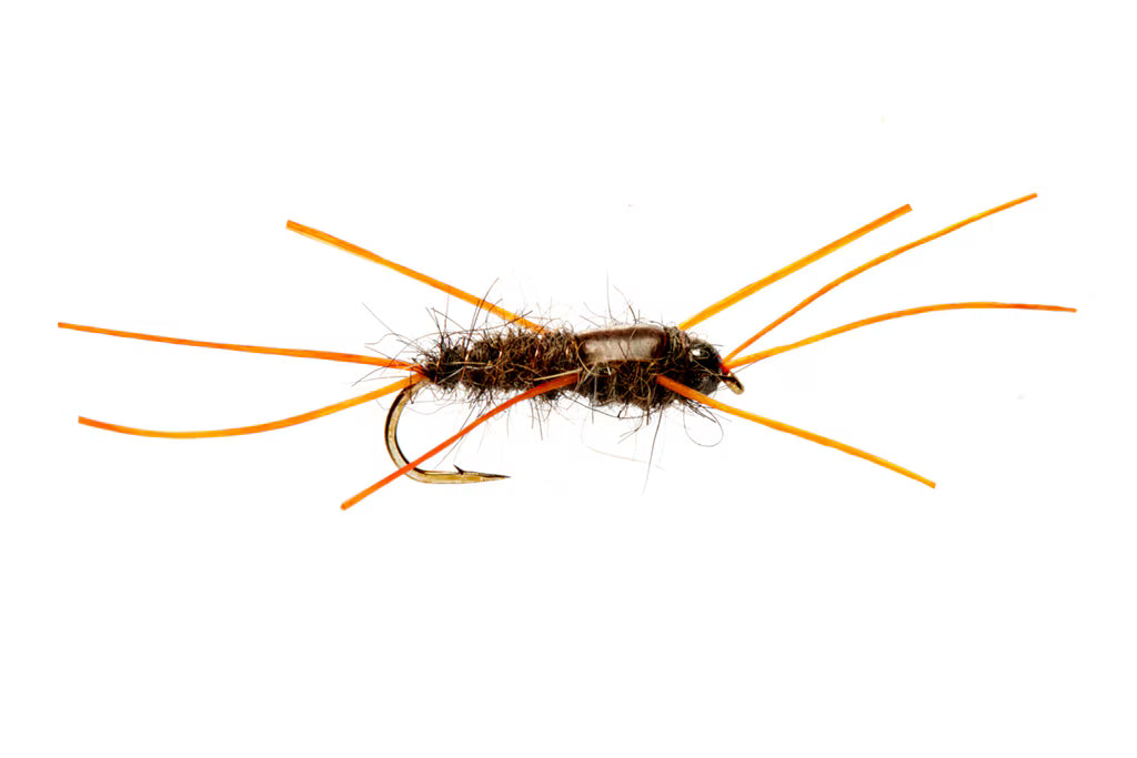 Bassett's Stonefly Exponent