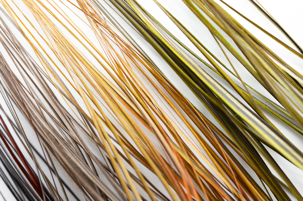Fulling Mill Stripped Quills Fulling Mill