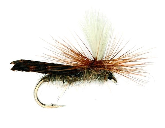 Parachute Caddis — The Flyfisher