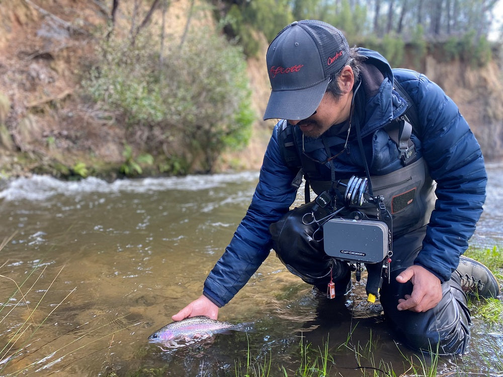 Guided Day Flyfishing Victoria, Tasmania, or The Snowy Mountains